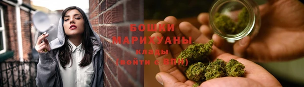 гашик Богородск