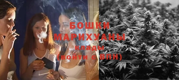 гашик Богородск