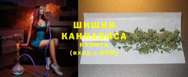 гашик Богородск