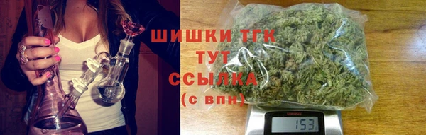 гашик Богородск