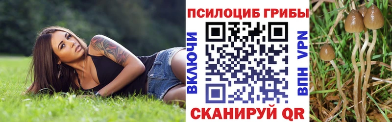 Псилоцибиновые грибы мицелий  ссылка на мегу рабочий сайт  Киселёвск 
